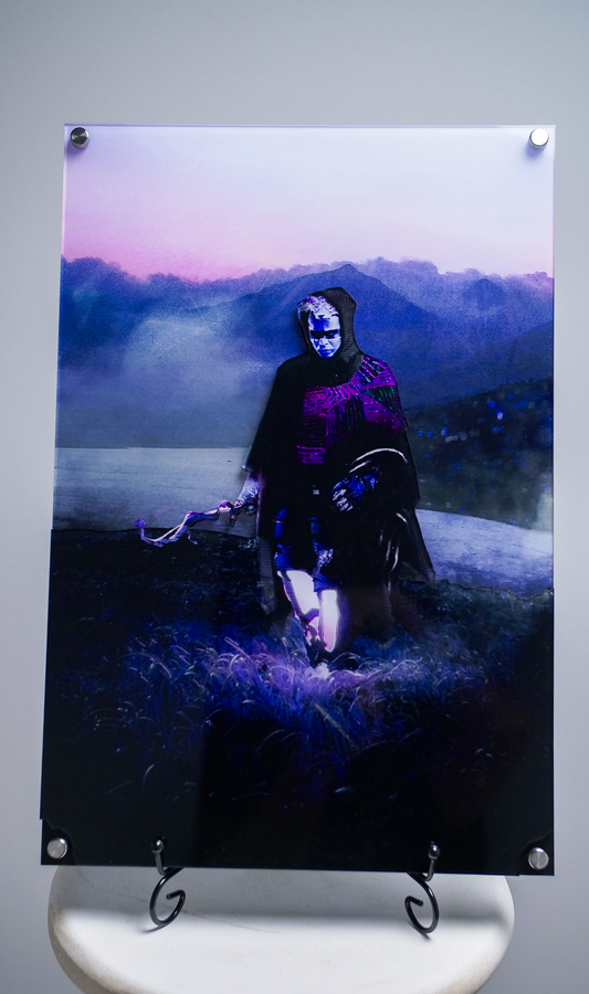 Coyote & Crow Acrylic Art - The Wanderer